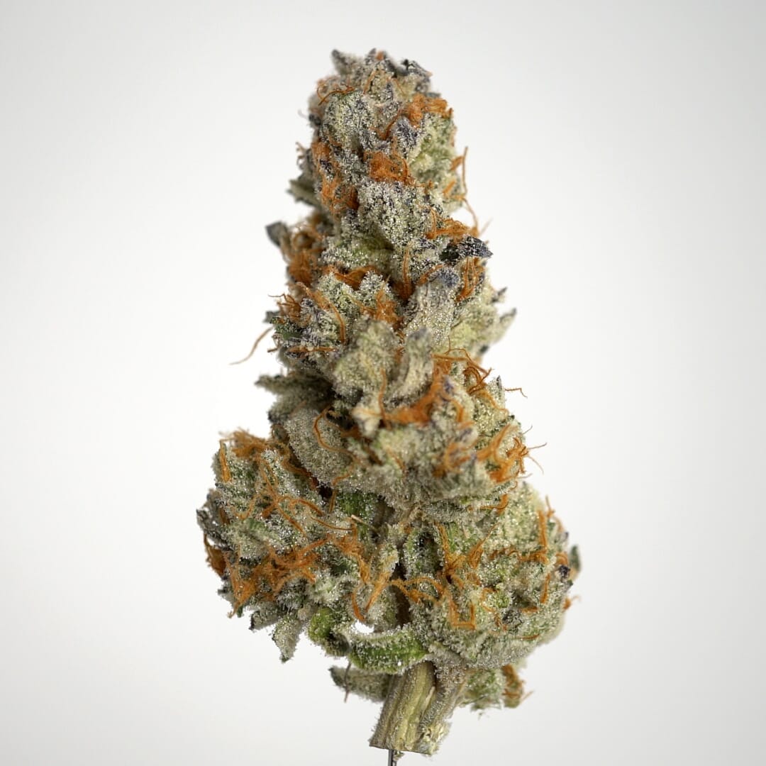 Buy Sativa Peanut Butter Breath seeds safe